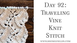 Day 92  Traveling Vine Knit Stitch  100daysofknitstitches [upl. by Oirotciv]