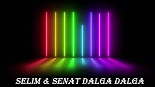 Selim Struga amp Senat Sax Struga Dalga Dalga amp Kicevsko 2023 [upl. by Oniram]