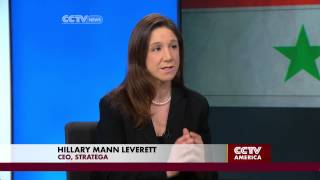 Hillary Mann Leverett on Syria [upl. by Doomham399]