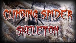 Climbing Spider Skeleton Tutorial [upl. by Norrat]