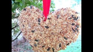 How to make a Bird Feeder Valentines Day Heart Craft [upl. by Schinica]