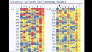 TCGA Analysis of Somatic Mutations Across Many Tumor Types  Petar Stojanov [upl. by Cahilly]