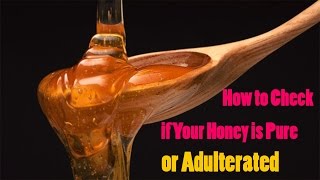 How to Check if Your Honey is Pure or Adulterated [upl. by Beaufert]