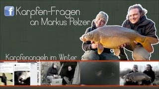 Karpfenangeln im Winter Die besten Tipps von Markus Pelzer [upl. by Alimhaj961]