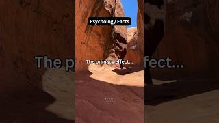 Primacy Effect shorts psychologyfacts subscribe [upl. by Anrak]