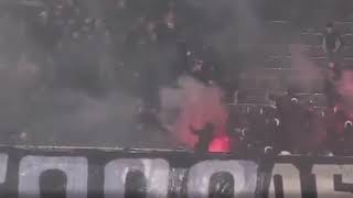 Belgrade Derby Fight [upl. by Ayian]