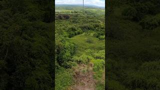 Hawaii’s longest zipline‼️ [upl. by Susanetta710]