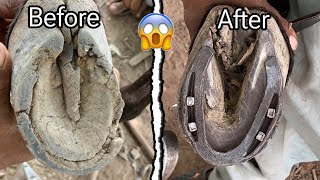 Bad Shape Hoof Restoration  Hoof Trimming ASMR  Horse Hoof Restoration Satisfying  Hoof Trimming [upl. by Aneleh565]