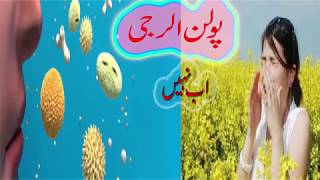 pollen allergy treatmentpollen allergy rashpollen allergy seasonpollen allergy home remedies [upl. by Nide]