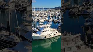 Cap Sante Marina  Boats Docked at Anacortes Scenic Harbor [upl. by Onihc]