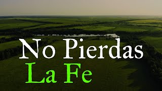 Nunca Pierdas La Fe En Dios ¦ Reflexión Agradecimiento [upl. by Erlene]