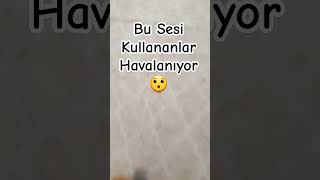 Bu Sesi Kullananlar Uçuyor saveroblox [upl. by Seravaj]