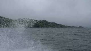 Water taxi  Ulva Island  Stewart Island [upl. by Aniger]