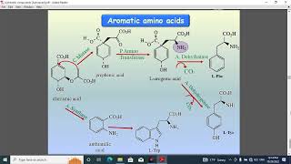 pharmacognosy 1 lec 13 [upl. by Neeruan]