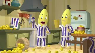 The Bananas Lemonade  Bananas in Pyjamas Season 2  Full Episodes  Bananas In Pyjamas [upl. by Keiryt]