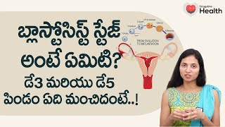 Blastocyst Stage  బ్లాస్టోసిస్ట్ స్టేజ్ అంటే ఏమిటి Ferty9 Dr Mounika  8977738864  Tone Health [upl. by Aramenta]