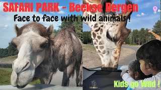 Safari Park  4K  Autosafari  Beekse Bergen  Netherlands  ZOO  Walking Tour wildanimals  4K [upl. by Gabel]