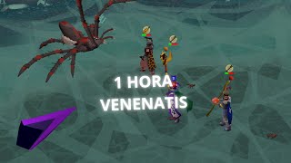 1 HORA DE VENENATIS OSRS EN ESPAÑOL 2024 [upl. by Zetnom]