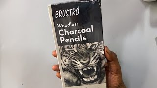 Worth Buying This Pencil 🤔 Woodless Charcoal Pencil [upl. by Tammi705]