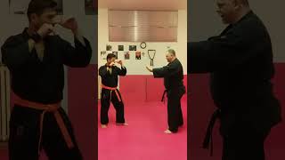 WSDA COMBAT JUJITSU FUSIONE DI KENPOJUJUTSU amp REAL AIKIDO BUDOKAN AREZZO MAESTRO LUCIO PICCIOLI [upl. by Bernardine495]