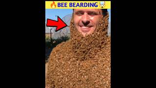 🔥Bee Bearding🤯shorts viral [upl. by Selinski]