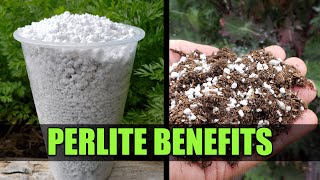 Perlite For Your Garden  Garden Quickie Episode 47 [upl. by Leitnahs]