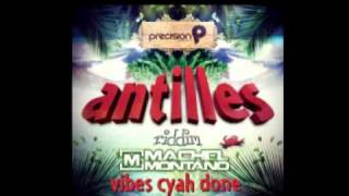 Machel Montano  Vibes Cyah Done Antilles Riddim 2012 [upl. by Nert381]