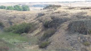 CHANNELED SCABLANDS SPRAGUE LAKE REST AREA i90 SW OF SPOKANE WA [upl. by Bentlee]