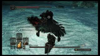 The BEST Boss Fight in Dark Souls 2  Fume Knight [upl. by Trin718]