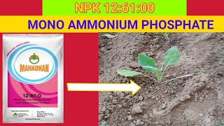 NPK126100  Mono Ammonium PhosphateFertilizersfull information [upl. by Hsirehc]