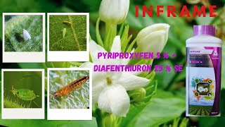 Inframe Adama Insectiside Tamil  Technical Name  Uses  Dose  Price  Combination inframe adama [upl. by Okiam]