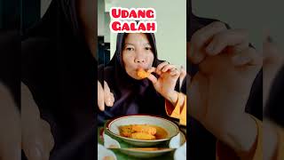 Makan Udang Galah Masak Santan keseharianaurorakhansa shorts mukbang [upl. by Kusin690]