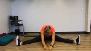 5 Minutes To Change Your Pain  Inner Thigh Groin Stretch [upl. by Horvitz832]