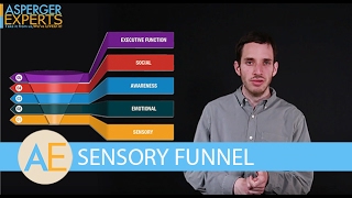 The Sensory Funnel  How To Help Someone With Aspergers [upl. by Fotzsyzrk]