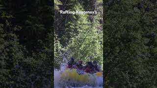 whitewaterrafting kootenays [upl. by Kasper]