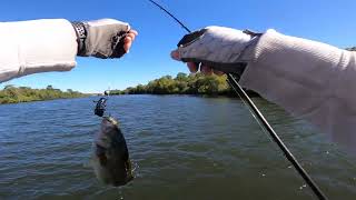 Early Fall Des Plaines river bass fishing [upl. by Hareenum]