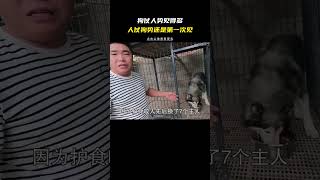 來放黑豹 狗仗人勢看多了 來看看人仗狗勢 堪稱第一人 狗 離譜 搞笑 奇耙 笑死 [upl. by Zilef]