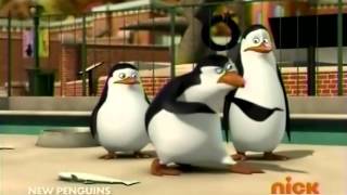 The Penguins of Madagascar  The quotManfredi and Johnsonquot Comedy [upl. by Arodnap]