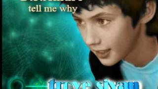 Troye Sivan tell me why remix D J Amure disco version [upl. by Ahsya]