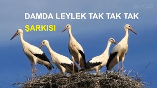 DAMDA LEYLEK TAK TAK TAK Okul Öncesi Şarkıları Altyazılı [upl. by Alegnaoj]