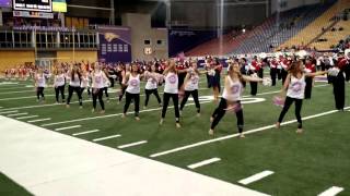 Cedar Falls Dance Team  Loyalty [upl. by Odlanor]