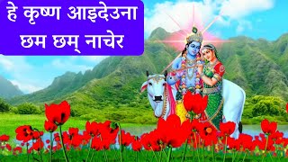 Superhit Nepali Bhajan  Hey Krishna Aai Deuna  Krishna Bhajan [upl. by Cioffred]