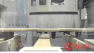 SCM Tech Z5 CNC Router [upl. by Dearman]