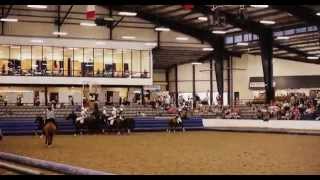 Horseball demonstration in USA [upl. by Millie]