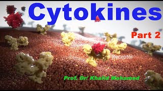 Cytokines Part 2 [upl. by Nims376]