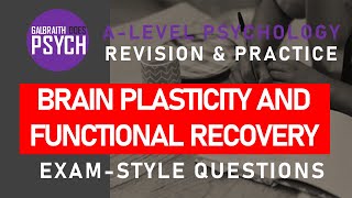 Plasticity and Functional Recovery  Exam Questions amp Revision  ALevel  AQA Psychology [upl. by Roseline366]