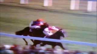 Lester Piggott on Moorestyle replay [upl. by Salchunas]