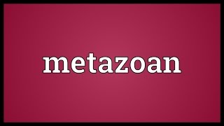 Metazoan Meaning [upl. by Anert]