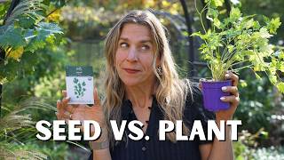 When Should I Buy SEEDS vs Starter PLANTS [upl. by Assenat]