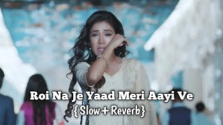 Roi Na Je Yaad Meri Aayi Ve  Sad song  Hindi  Slow Reverb  Vishnu Maind [upl. by Lamarre]